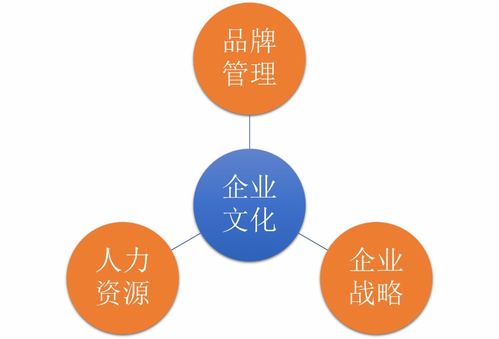 如何為甲方提供滿意的企業(yè)文化咨詢服務(wù)